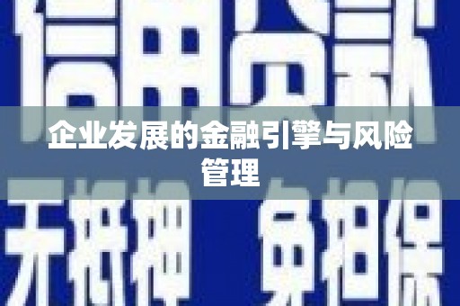沁阳企业发展的金融引擎与风险管理