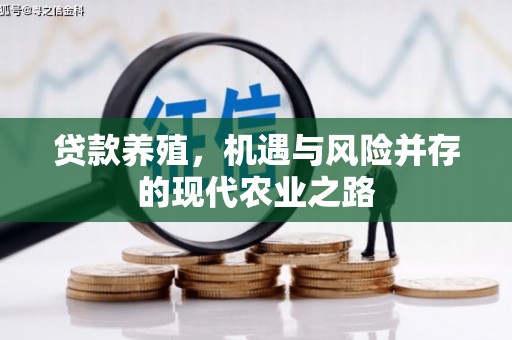 沁阳贷款养殖，机遇与风险并存的现代农业之路