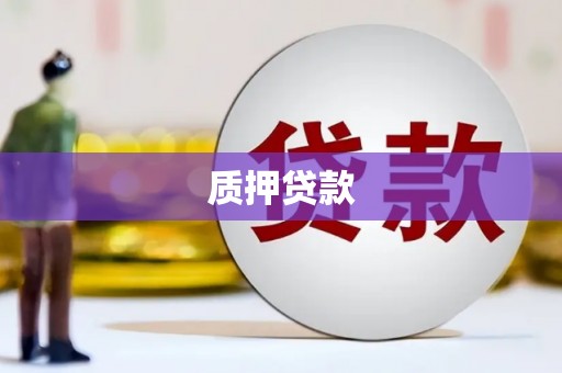 沁阳质押贷款