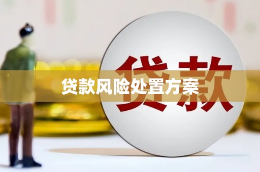 沁阳贷款风险处置方案
