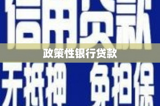 沁阳政策性银行贷款