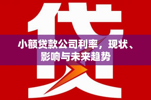 沁阳小额贷款公司利率，现状、影响与未来趋势