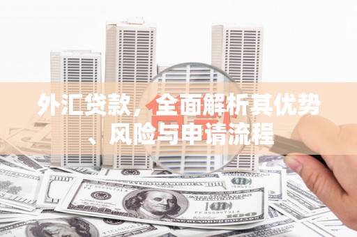 沁阳外汇贷款，全面解析其优势、风险与申请流程