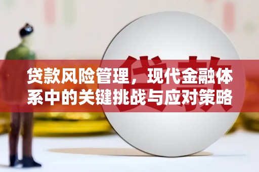 沁阳贷款风险管理，现代金融体系中的关键挑战与应对策略