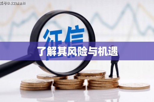 沁阳了解其风险与机遇