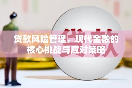 沁阳贷款风险管理，现代金融的核心挑战与应对策略