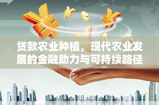 沁阳贷款农业种植，现代农业发展的金融助力与可持续路径