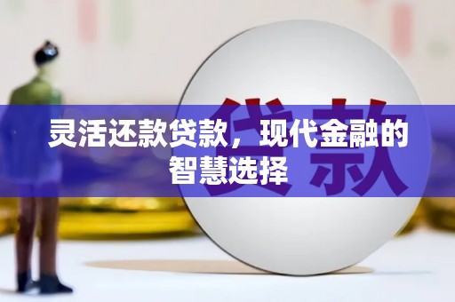 沁阳灵活还款贷款，现代金融的智慧选择