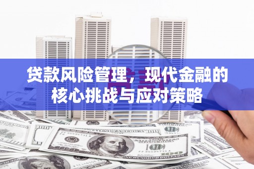 沁阳贷款风险管理，现代金融的核心挑战与应对策略
