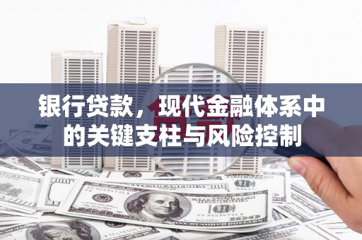 沁阳银行贷款，现代金融体系中的关键支柱与风险控制