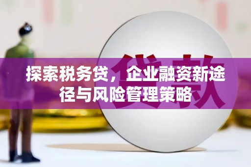 沁阳探索税务贷，企业融资新途径与风险管理策略