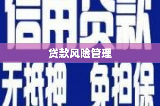 沁阳贷款风险管理