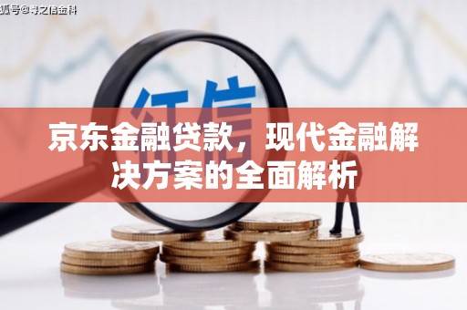 沁阳京东金融贷款，现代金融解决方案的全面解析