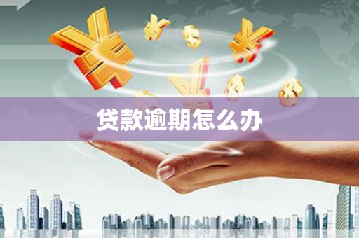 沁阳贷款逾期怎么办