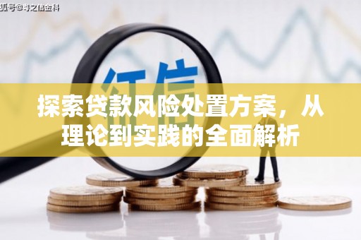 沁阳探索贷款风险处置方案，从理论到实践的全面解析