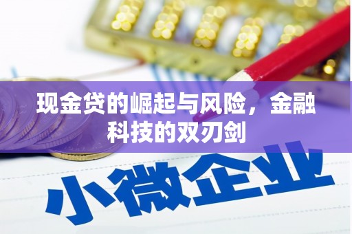 沁阳现金贷的崛起与风险，金融科技的双刃剑