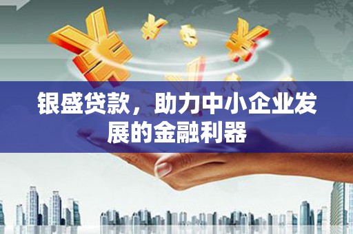 沁阳银盛贷款，助力中小企业发展的金融利器