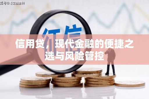 沁阳信用贷，现代金融的便捷之选与风险管控