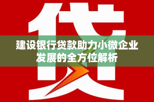 沁阳建设银行贷款助力小微企业发展的全方位解析