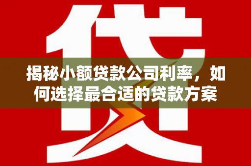 沁阳揭秘小额贷款公司利率，如何选择最合适的贷款方案