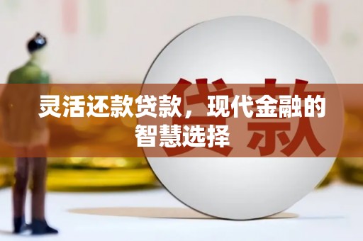 沁阳灵活还款贷款，现代金融的智慧选择