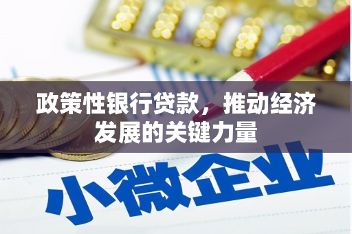 沁阳政策性银行贷款，推动经济发展的关键力量