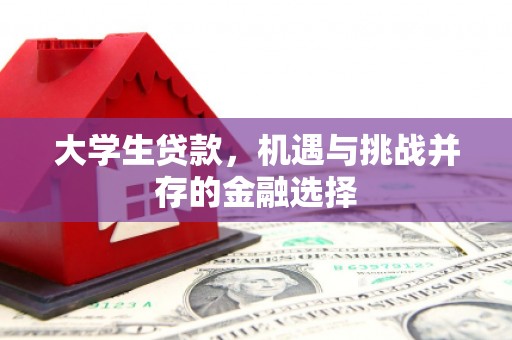沁阳大学生贷款，机遇与挑战并存的金融选择