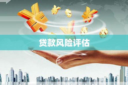 沁阳贷款风险评估