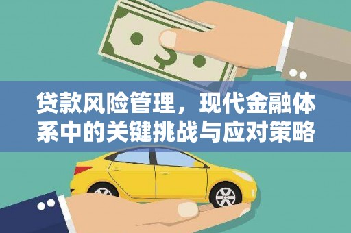 沁阳贷款风险管理，现代金融体系中的关键挑战与应对策略