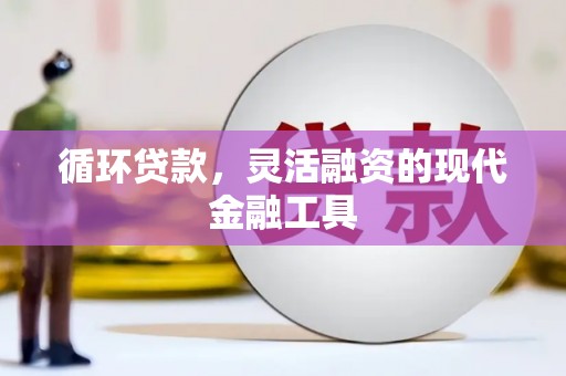 沁阳循环贷款，灵活融资的现代金融工具