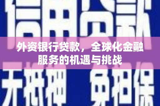 沁阳外资银行贷款，全球化金融服务的机遇与挑战