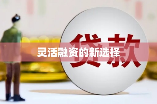 沁阳灵活融资的新选择