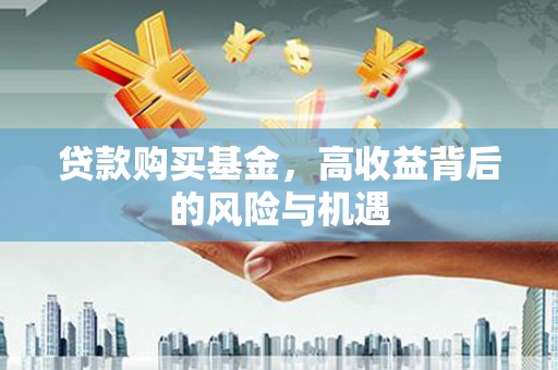 沁阳贷款购买基金，高收益背后的风险与机遇